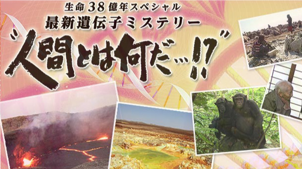 TBSテレビ『生命38億年スペシャル 最新遺伝子ミステリー　人間とは何だ…!?』